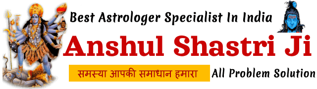 Astrologer Anshul Shastri Ji